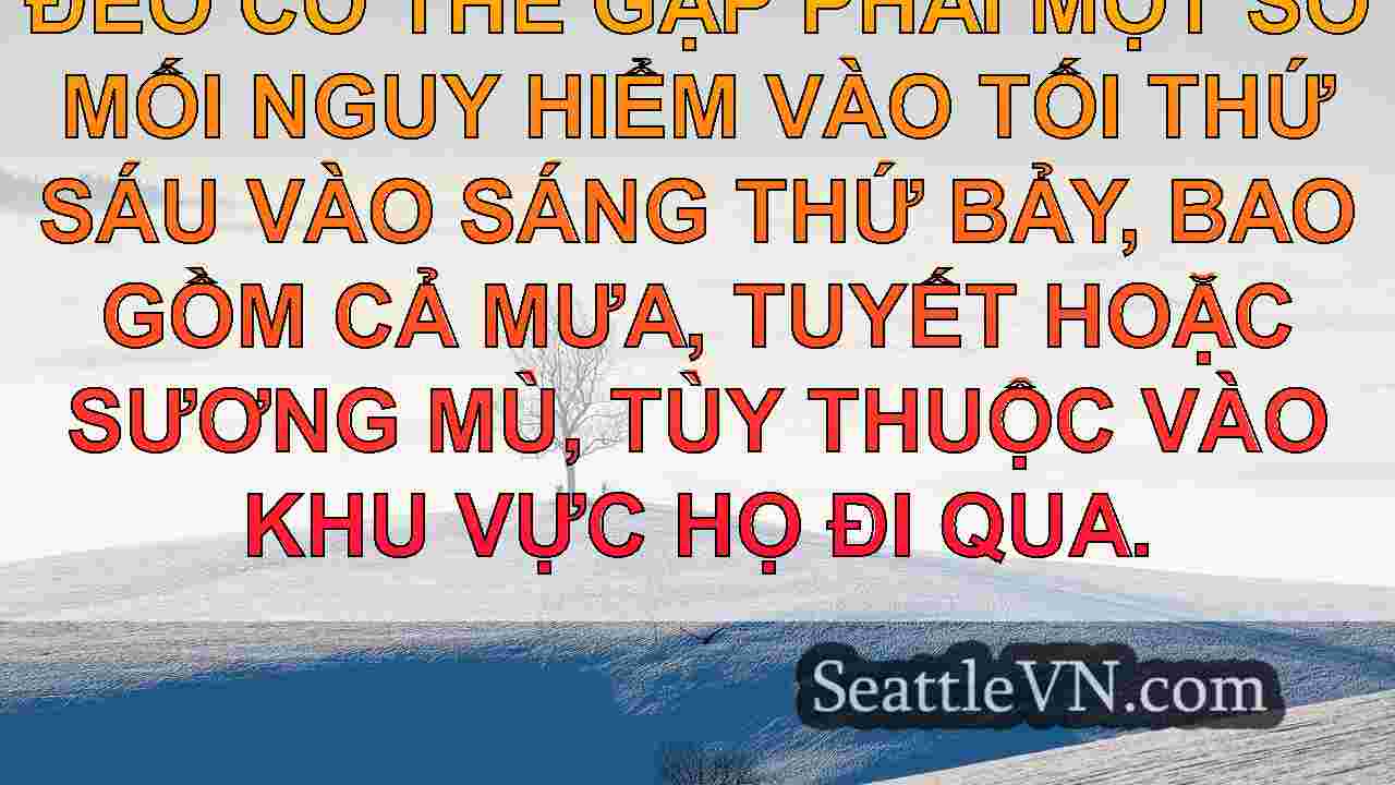 tin tức seattle SeattleVN