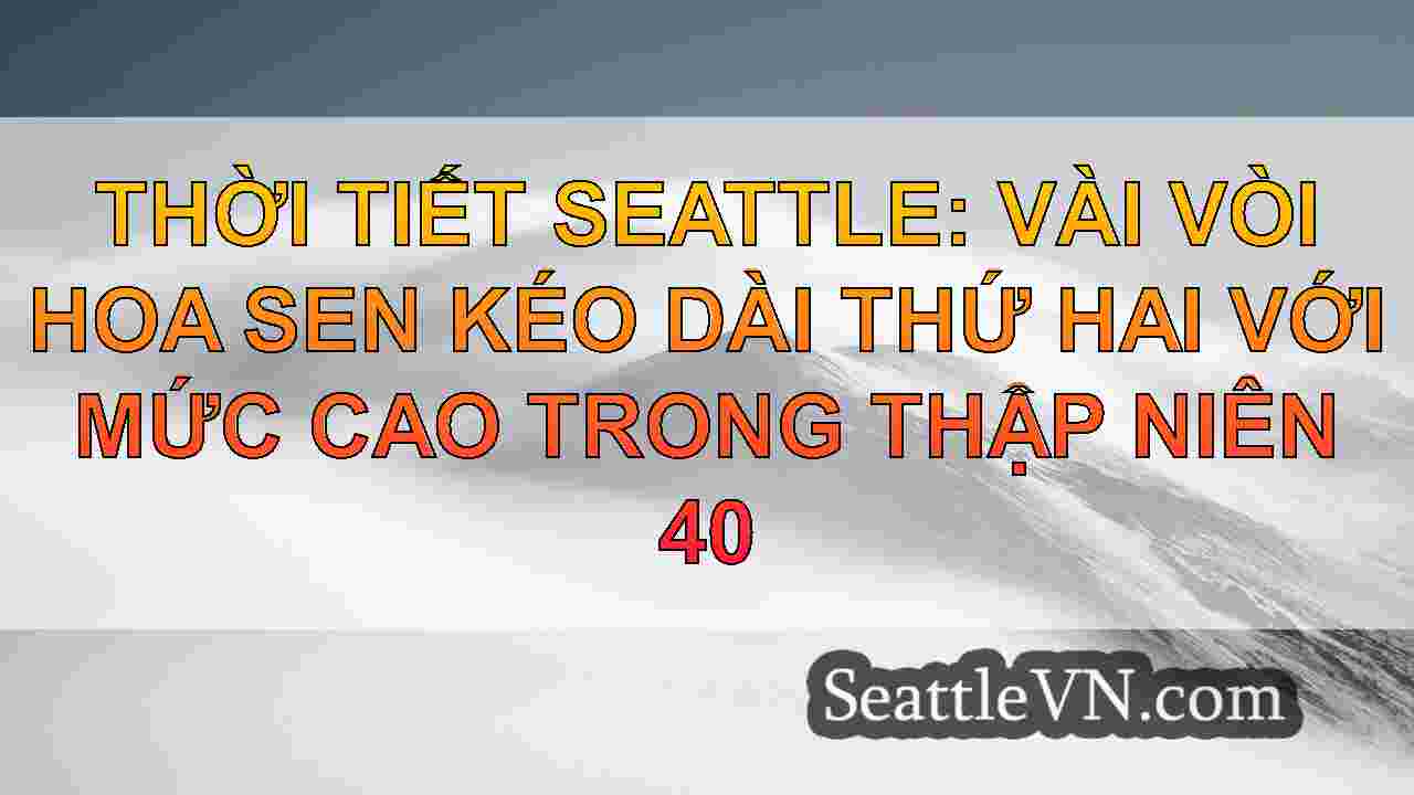 tin tức seattle SeattleVN