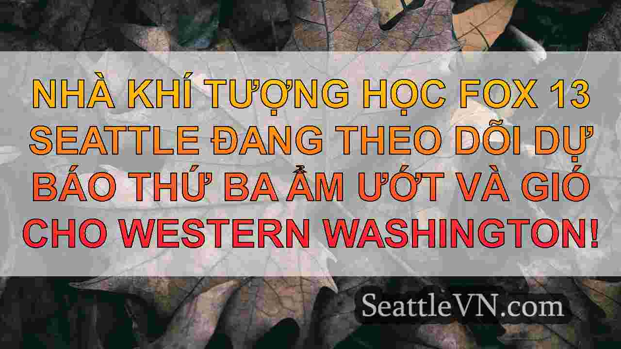 tin tức seattle SeattleVN