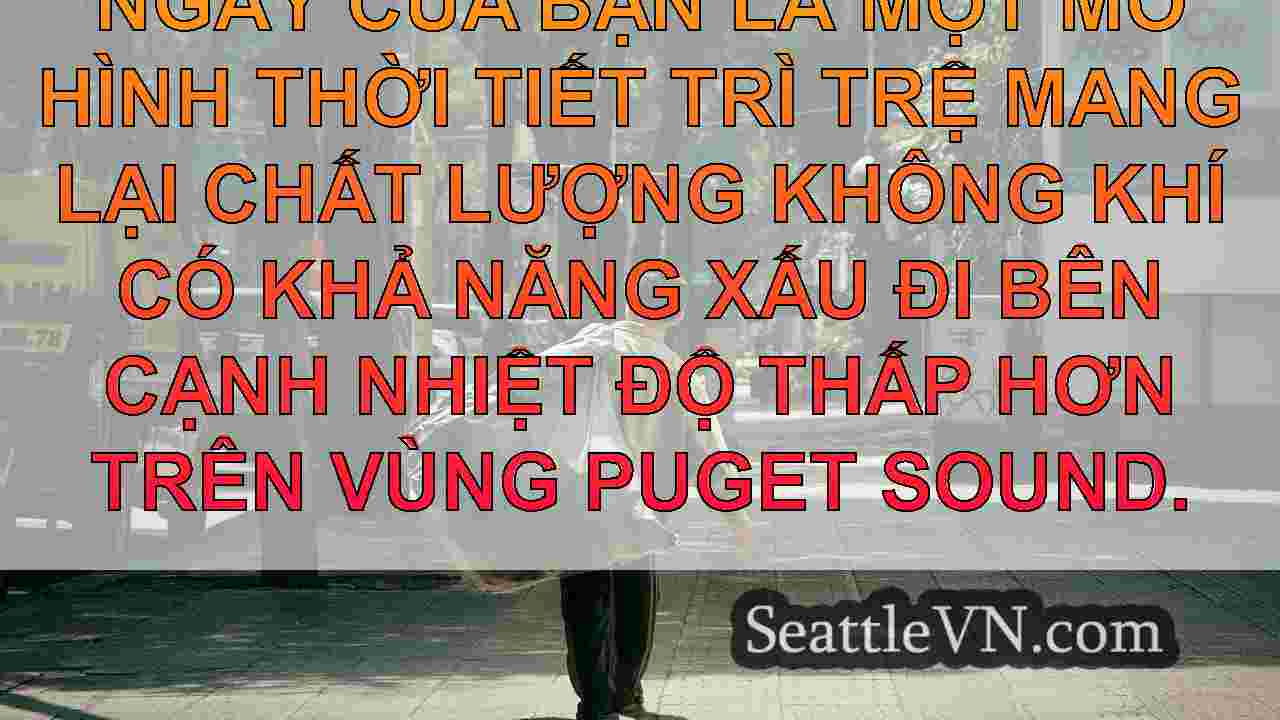 tin tức seattle SeattleVN