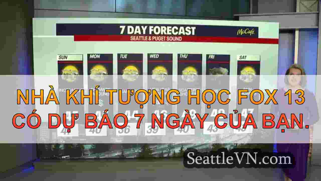 Seattle Weather: Núi tuyết dốc lên, mưa