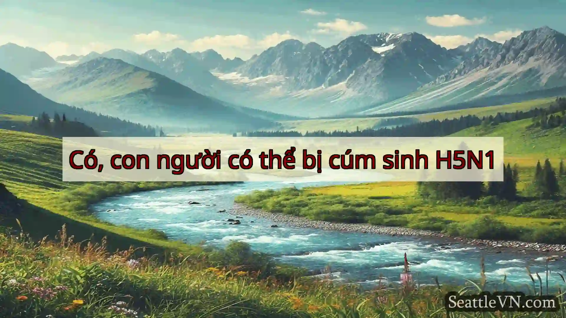 tin tức seattle Có, con người có thể bị cúm sinh