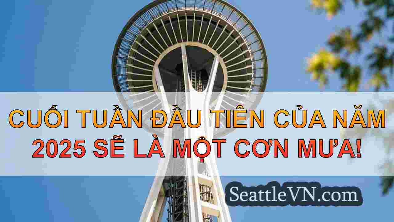 Seattle Weather: Breezy và Wet End cho