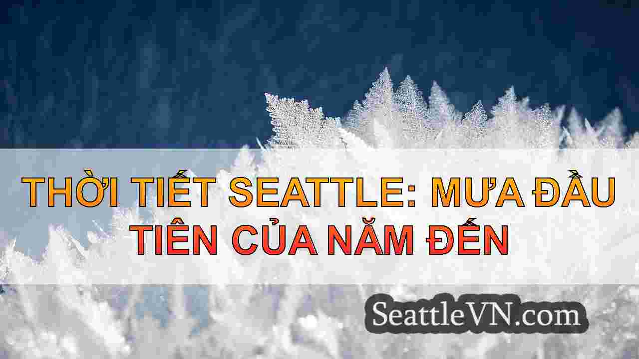 tin tức seattle SeattleVN
