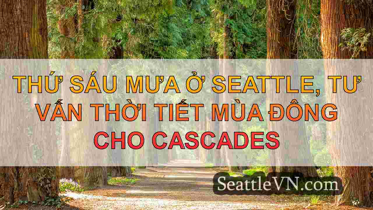 tin tức seattle SeattleVN