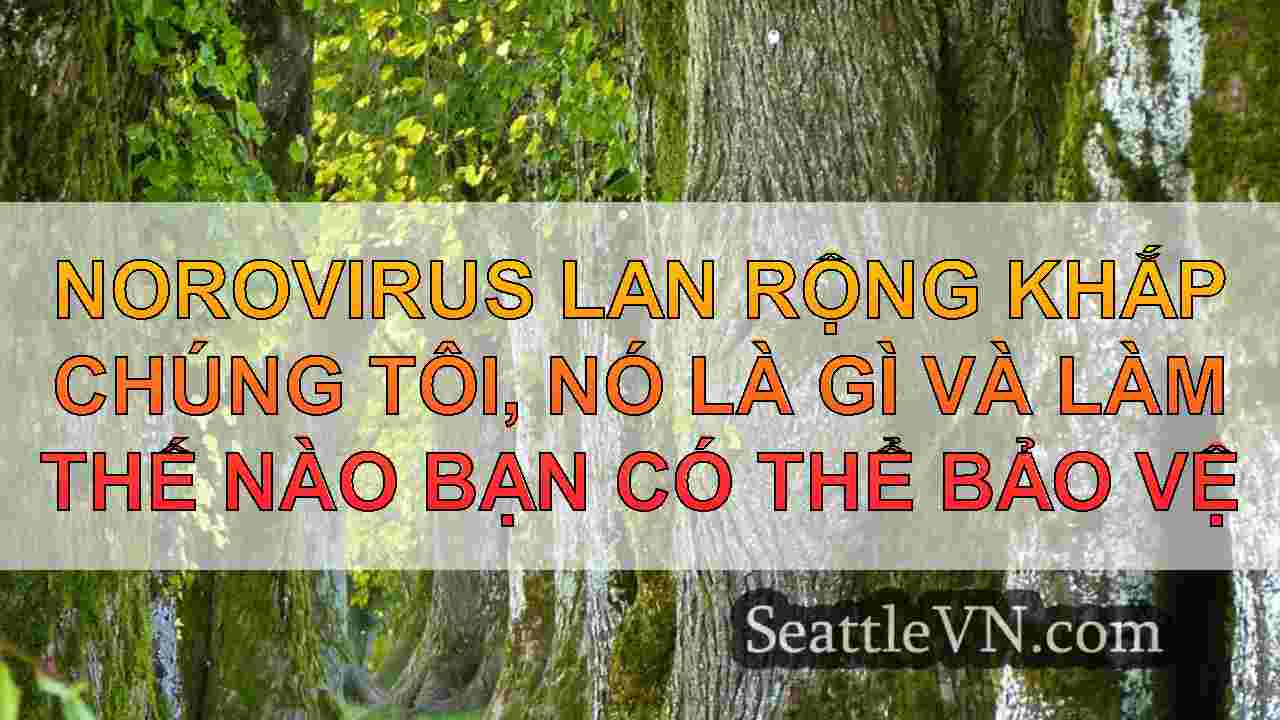 tin tức seattle SeattleVN