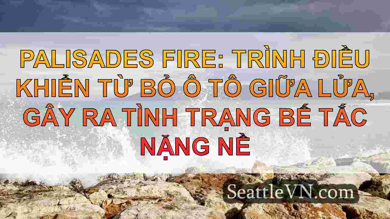 Los Angeles Wildfires Mới nhất: Các phi