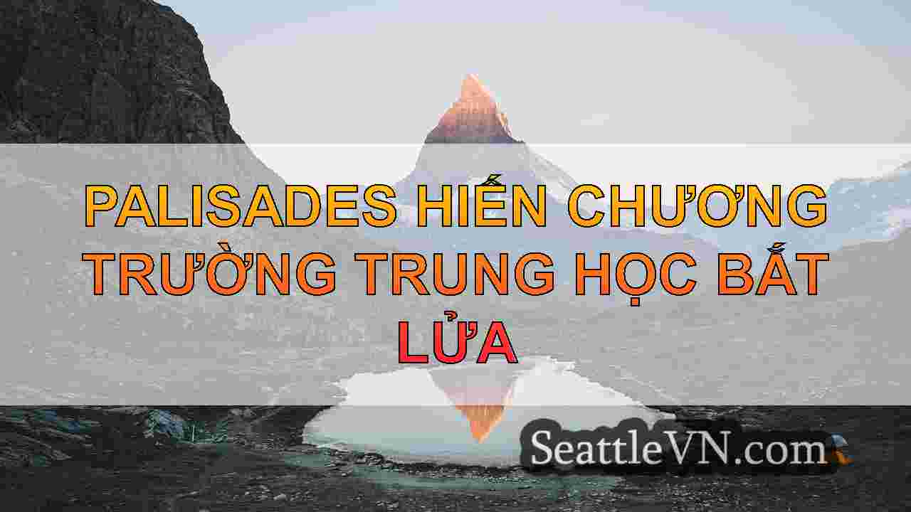tin tức seattle SeattleVN