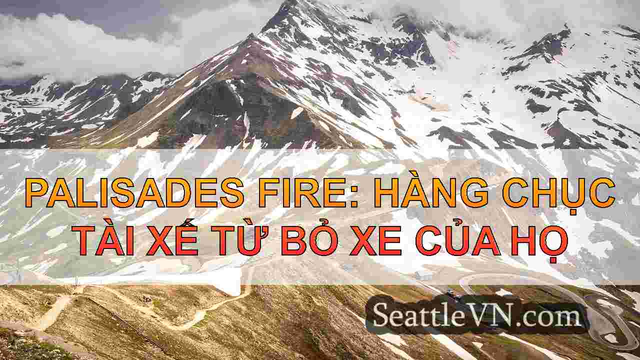 tin tức seattle SeattleVN