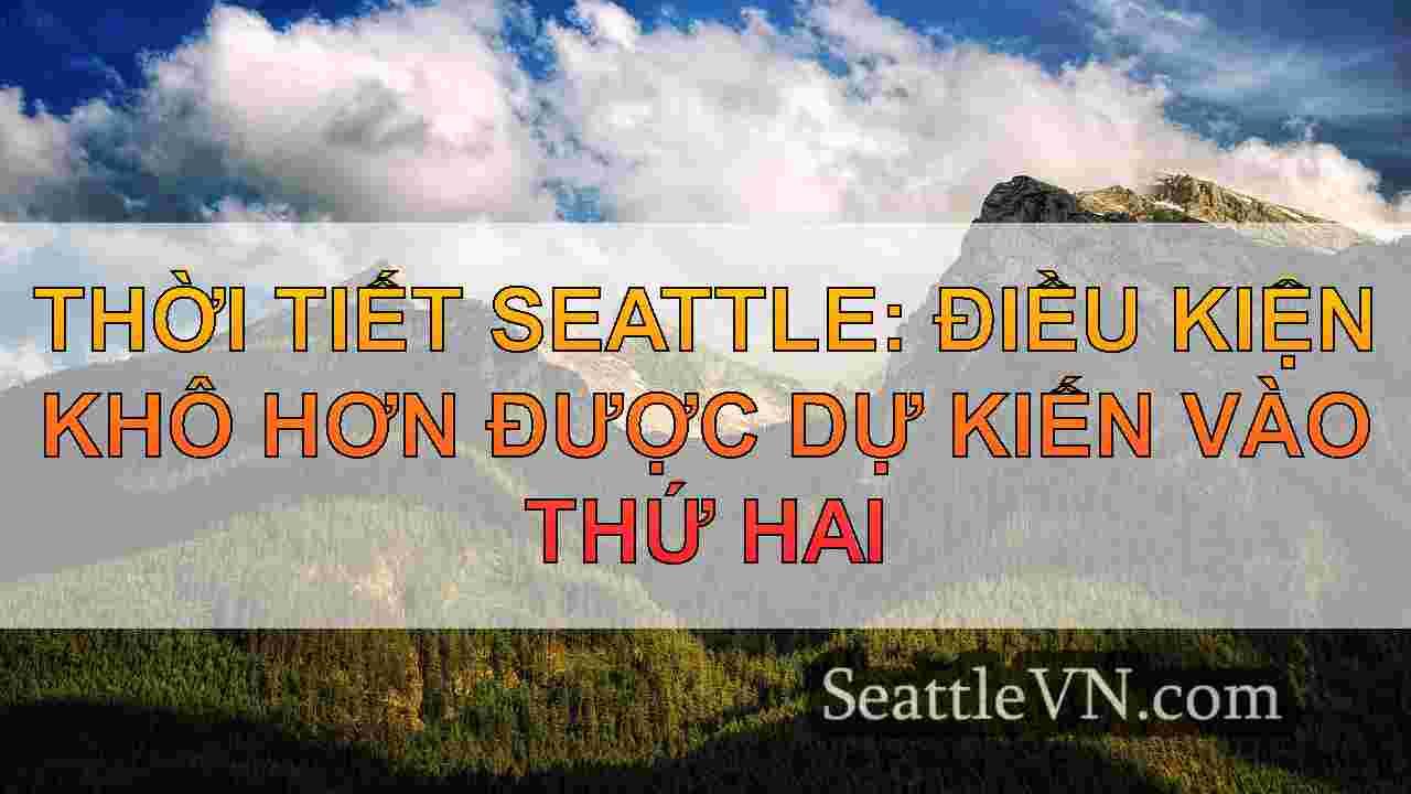 tin tức seattle SeattleVN