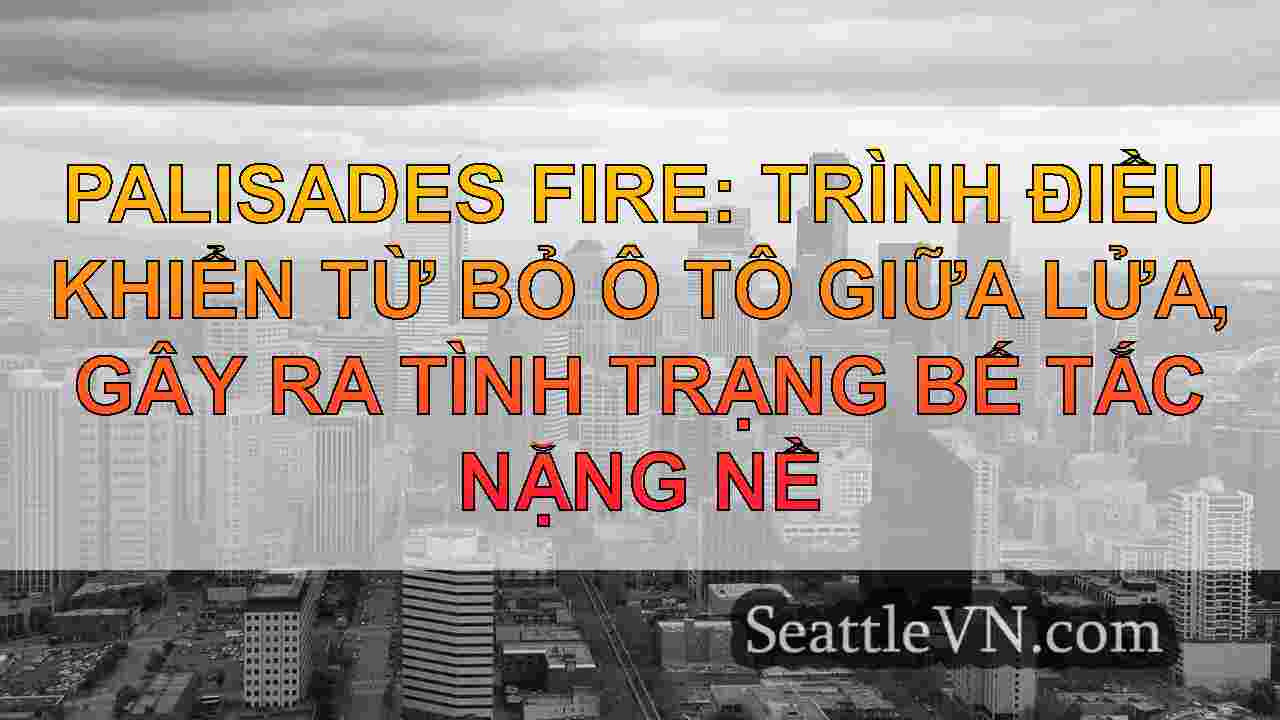 Los Angeles Wildfires Mới nhất: Các phi