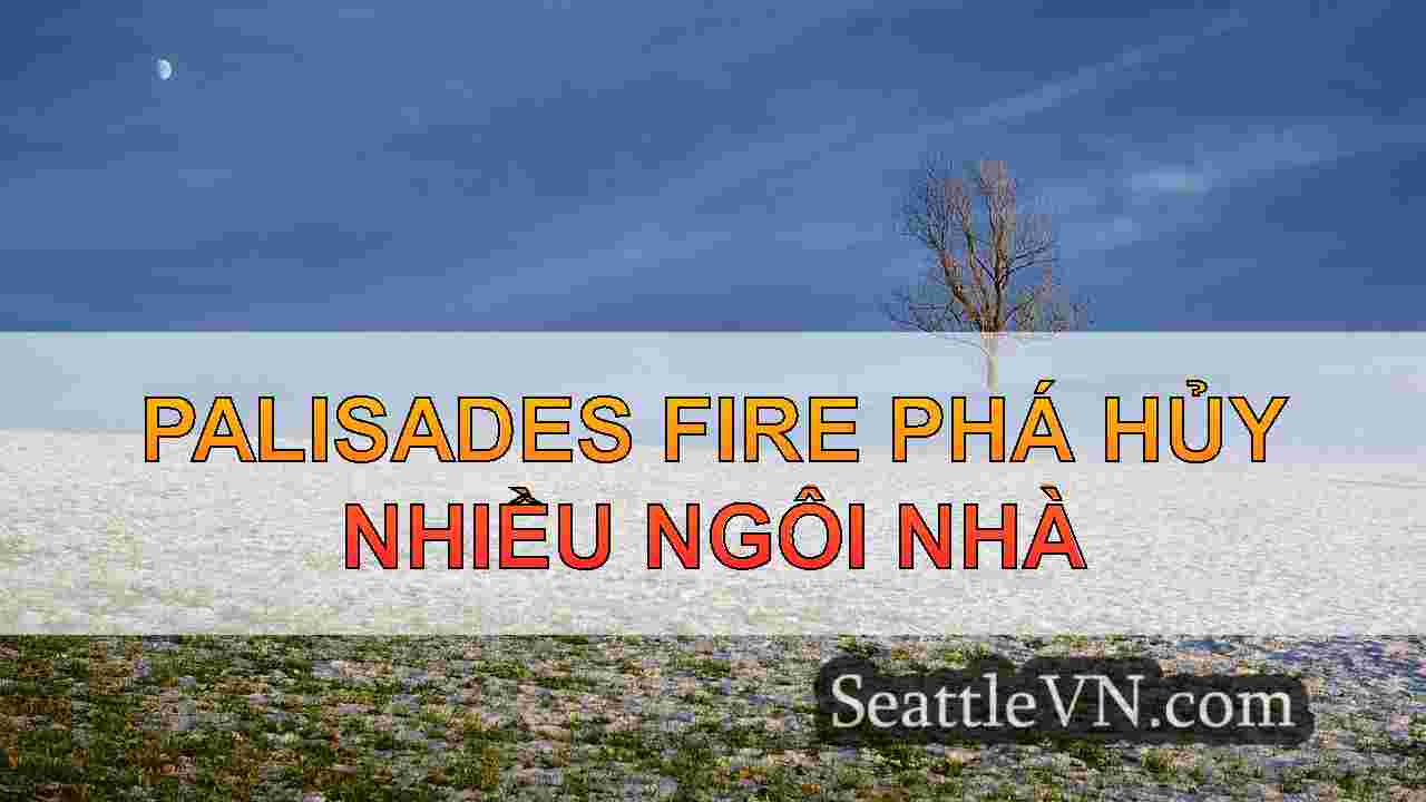 Cư dân nổi tiếng sơ tán khi Pacific