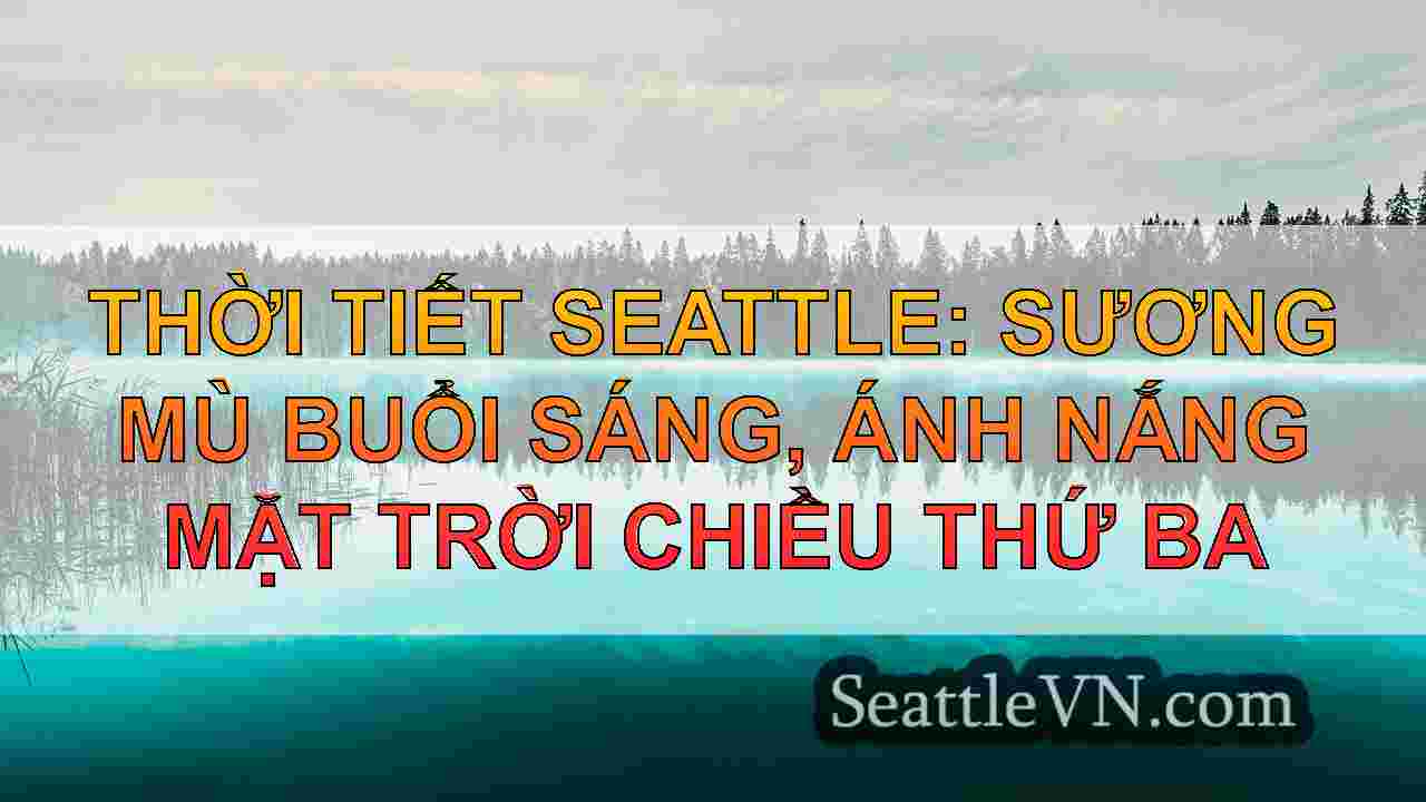 Seattle Weather: Chilly và Foggy bắt