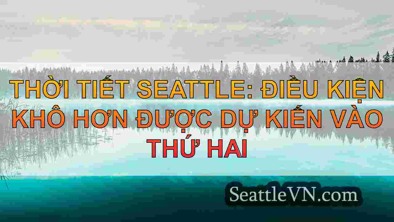 Ánh trời đẹp tháng 1 và thời tiết chủ