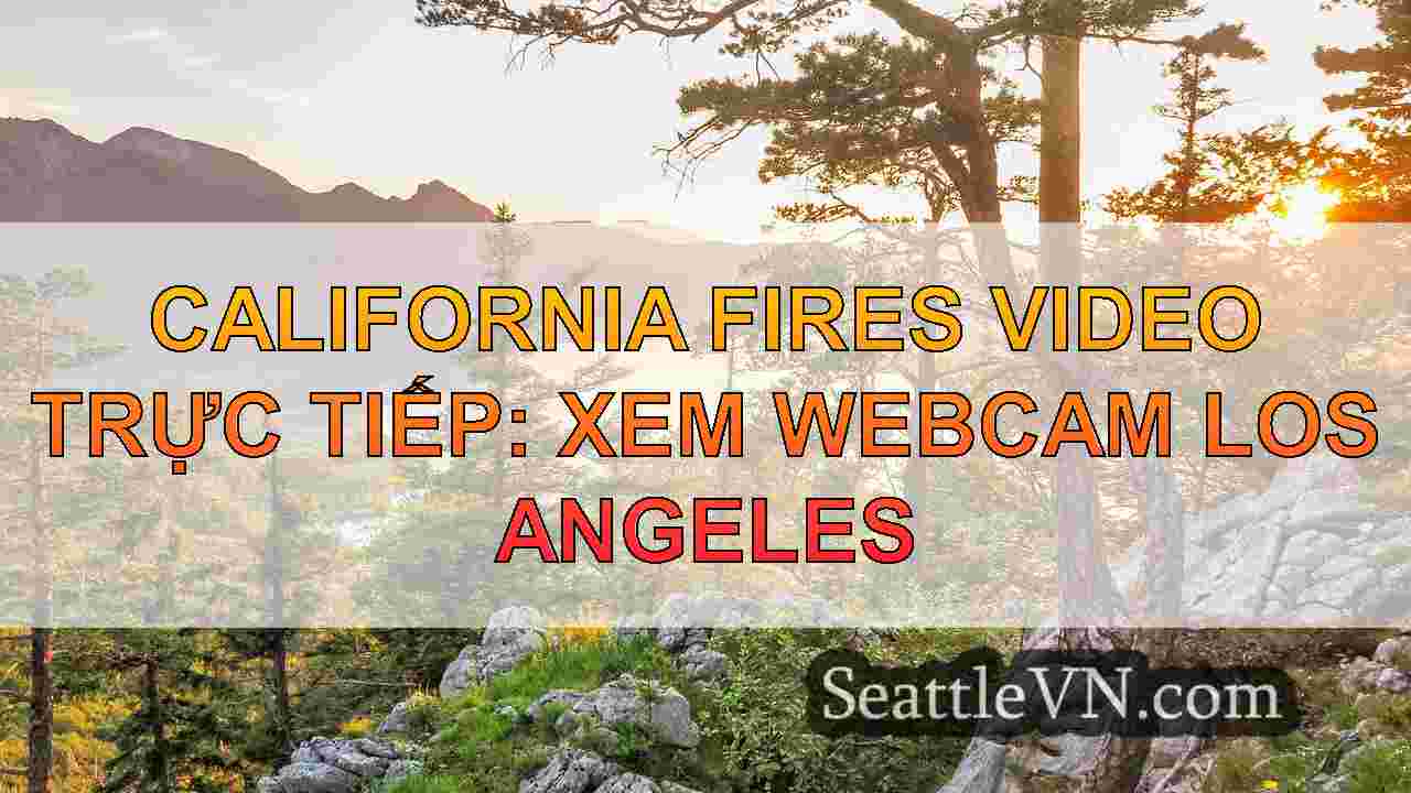 tin tức seattle SeattleVN