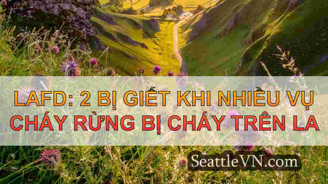 tin tức seattle SeattleVN