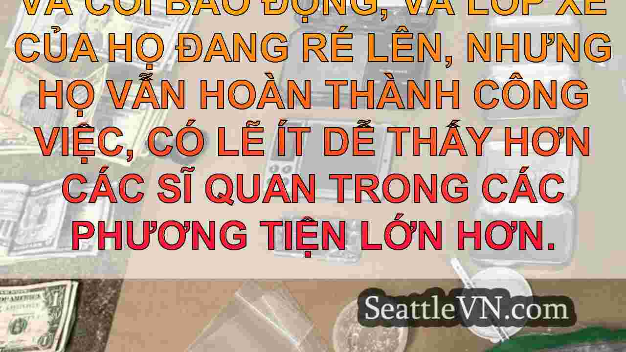 tin tức seattle SeattleVN