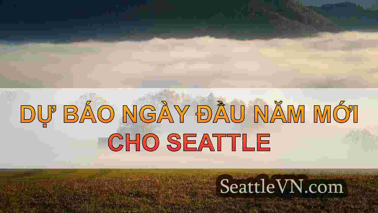 tin tức seattle SeattleVN