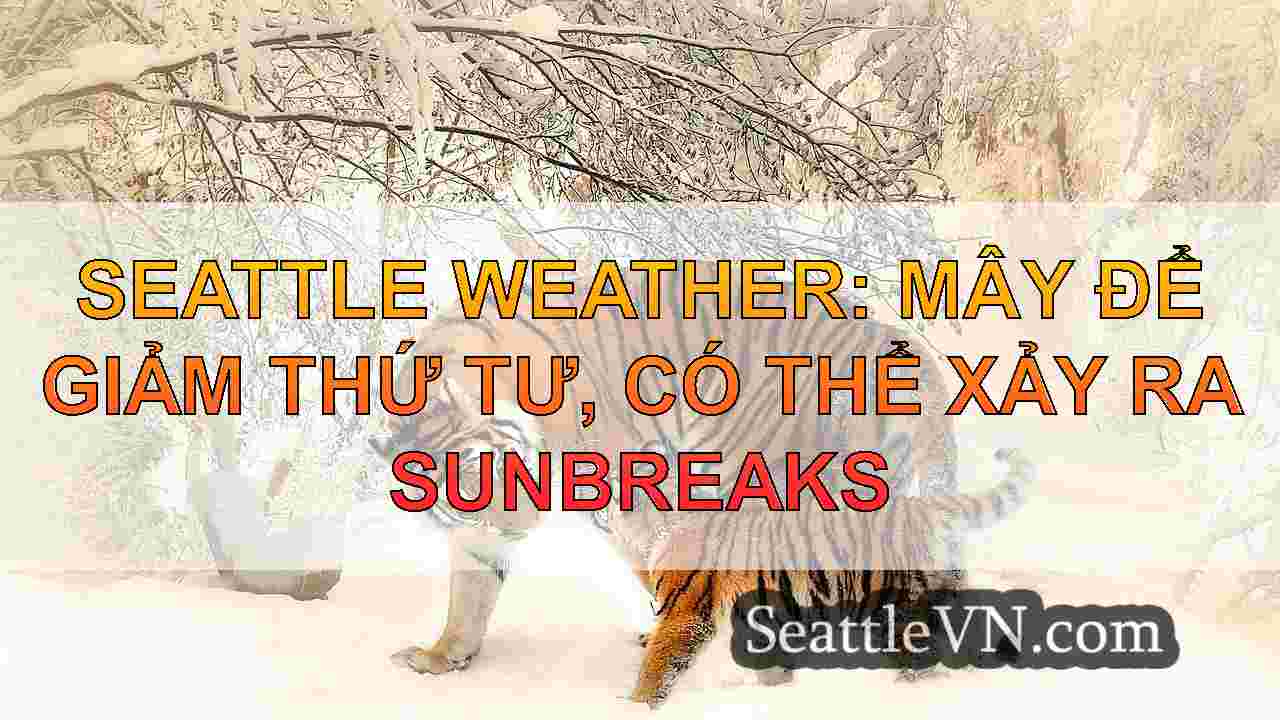 tin tức seattle SeattleVN