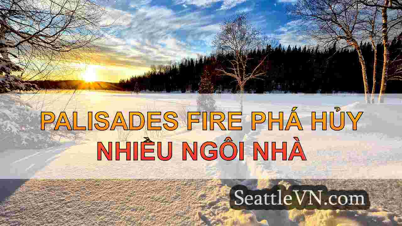 tin tức seattle SeattleVN