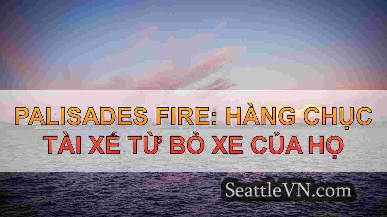 Palisades Chaos: Xe hơi bị bỏ hoang và