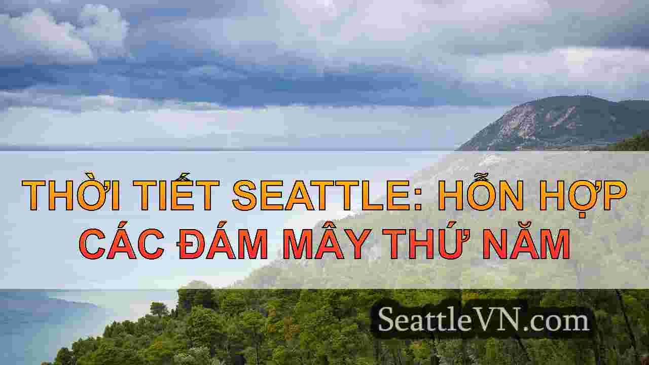 tin tức seattle SeattleVN