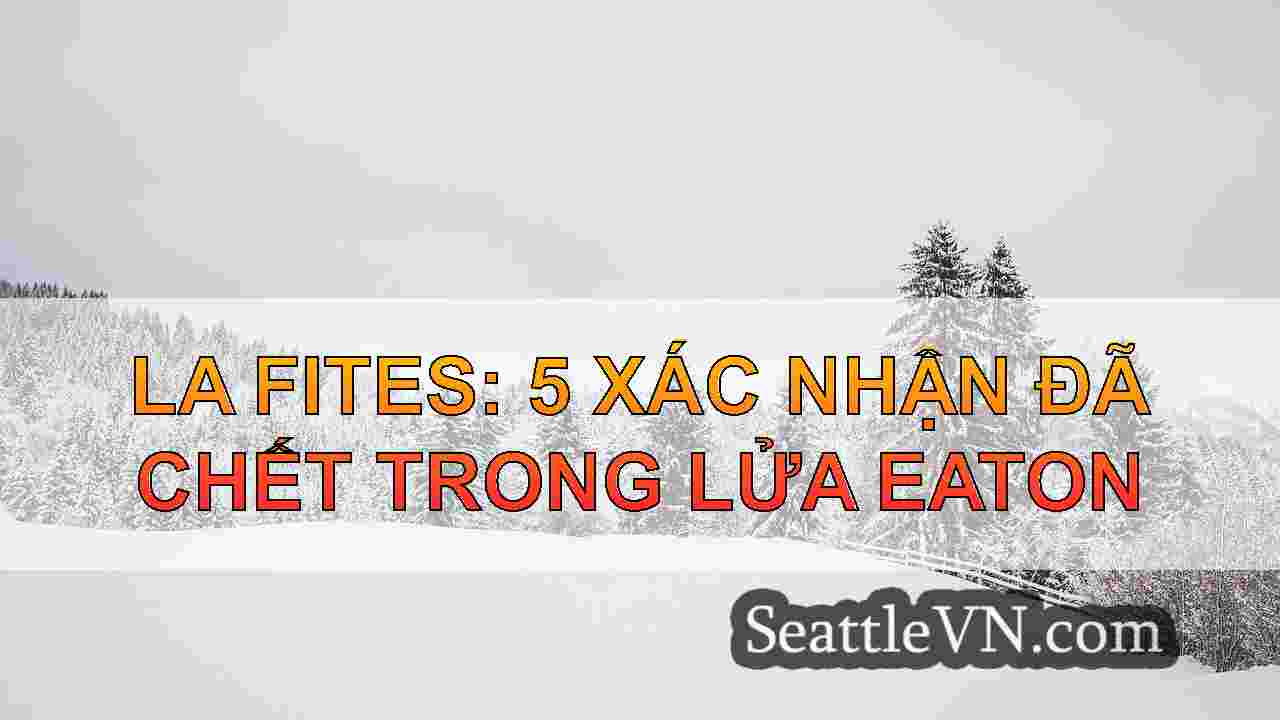tin tức seattle SeattleVN