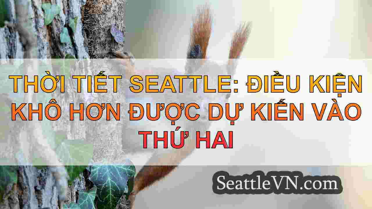 tin tức seattle SeattleVN