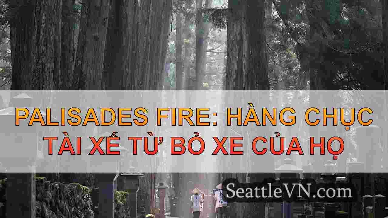 tin tức seattle SeattleVN