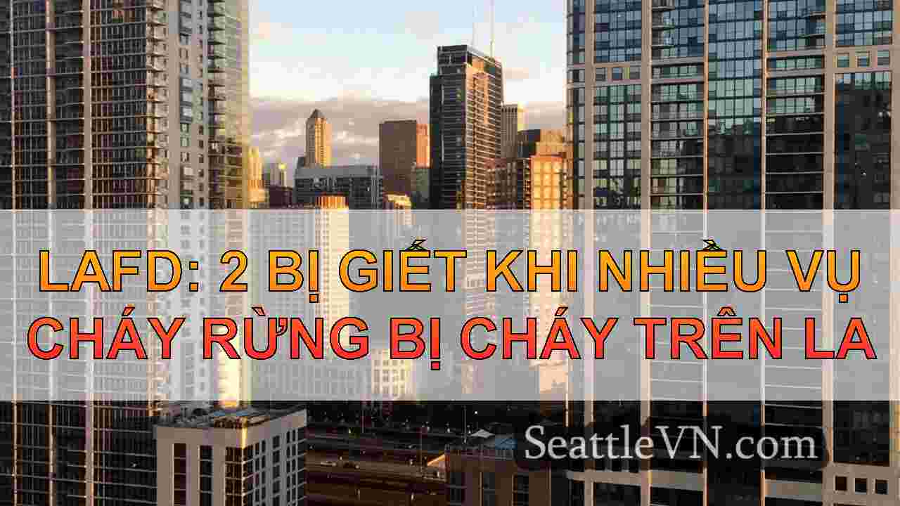 tin tức seattle SeattleVN