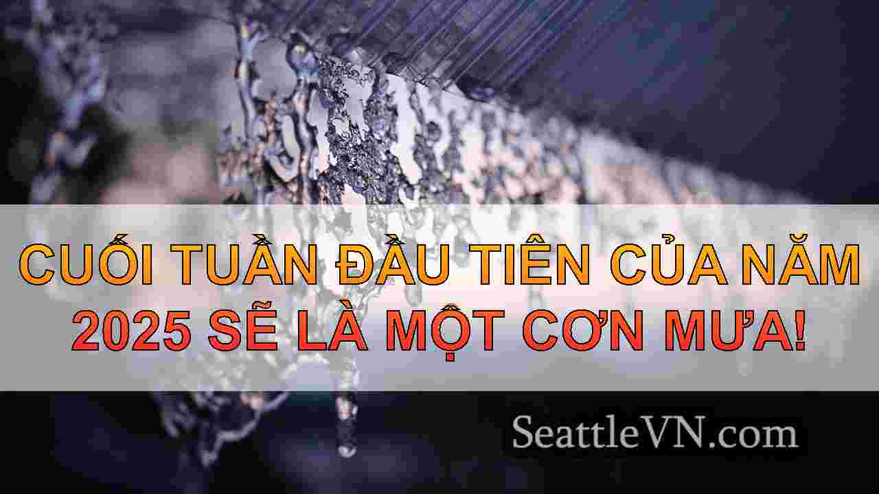 tin tức seattle SeattleVN