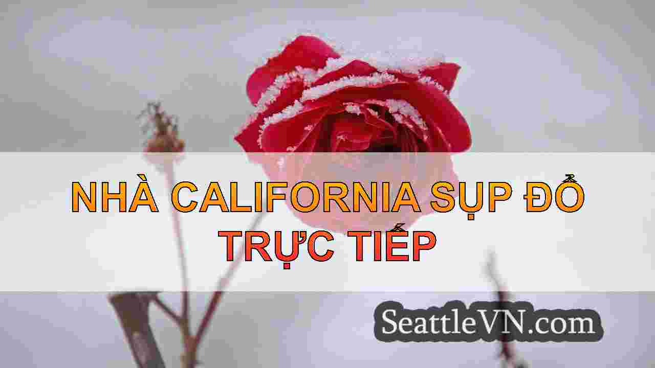 tin tức seattle SeattleVN