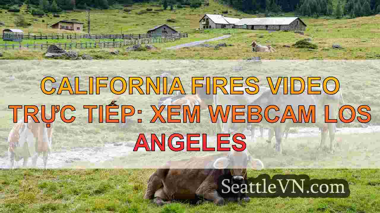 California Fires Video trực tiếp: Xem