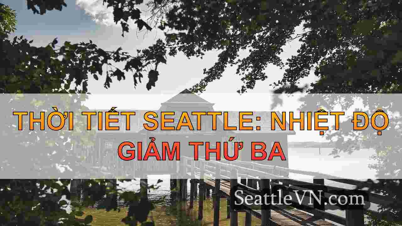 tin tức seattle SeattleVN