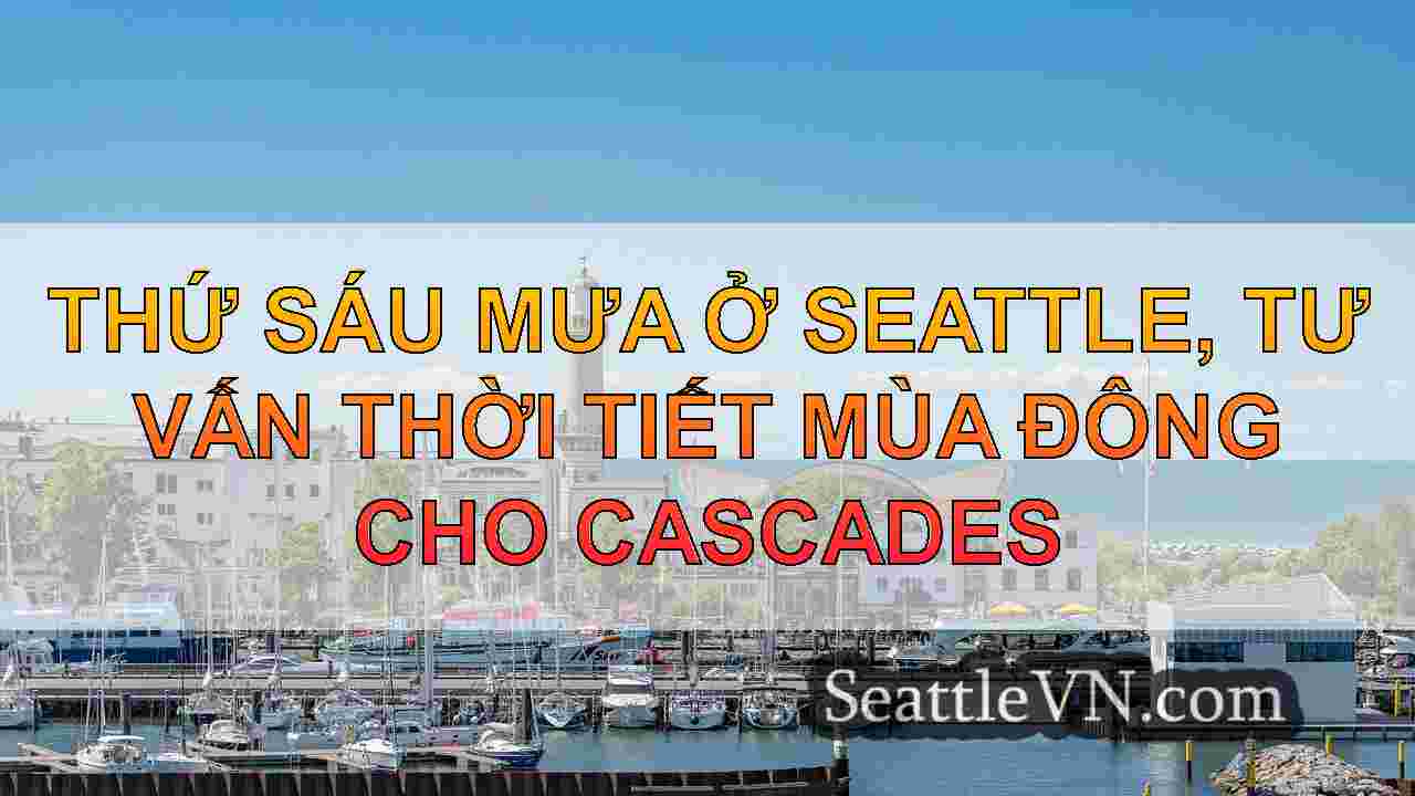 tin tức seattle SeattleVN