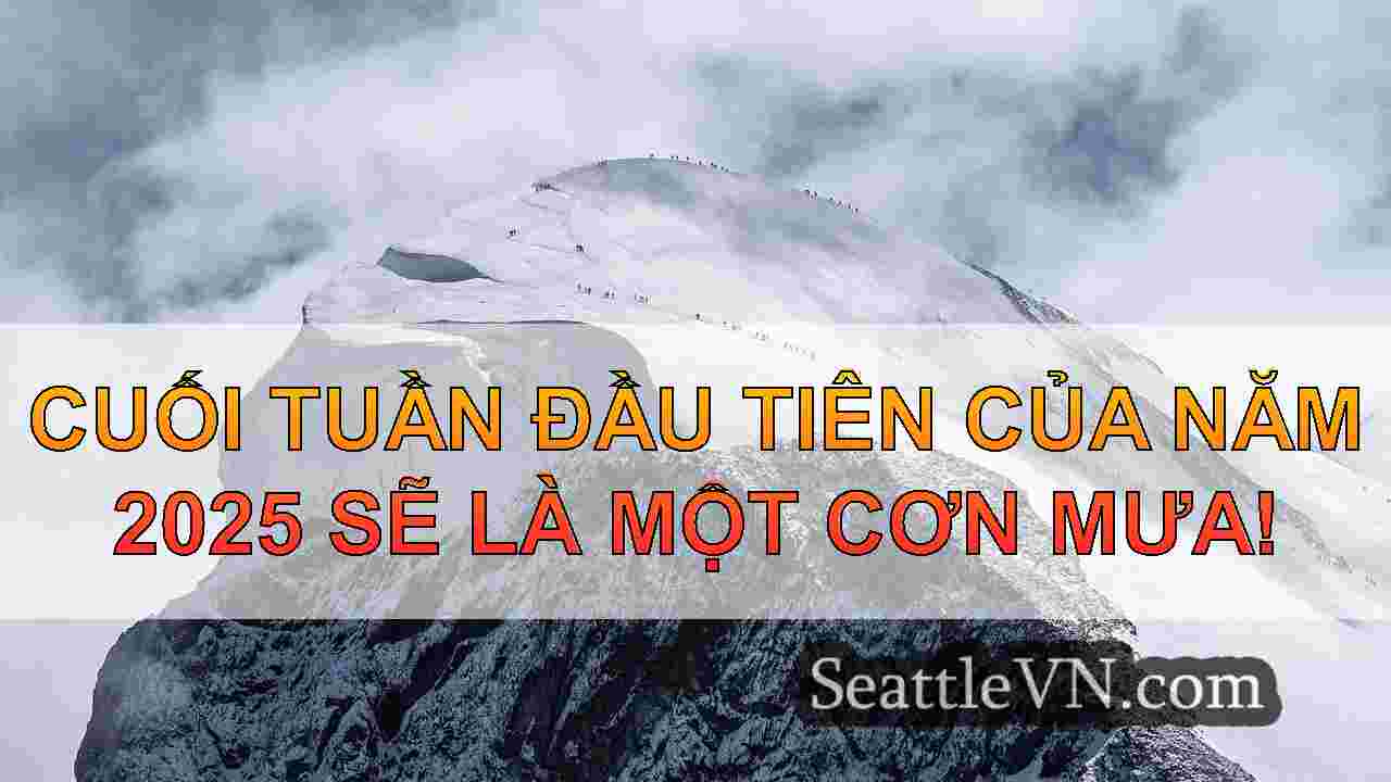 tin tức seattle SeattleVN