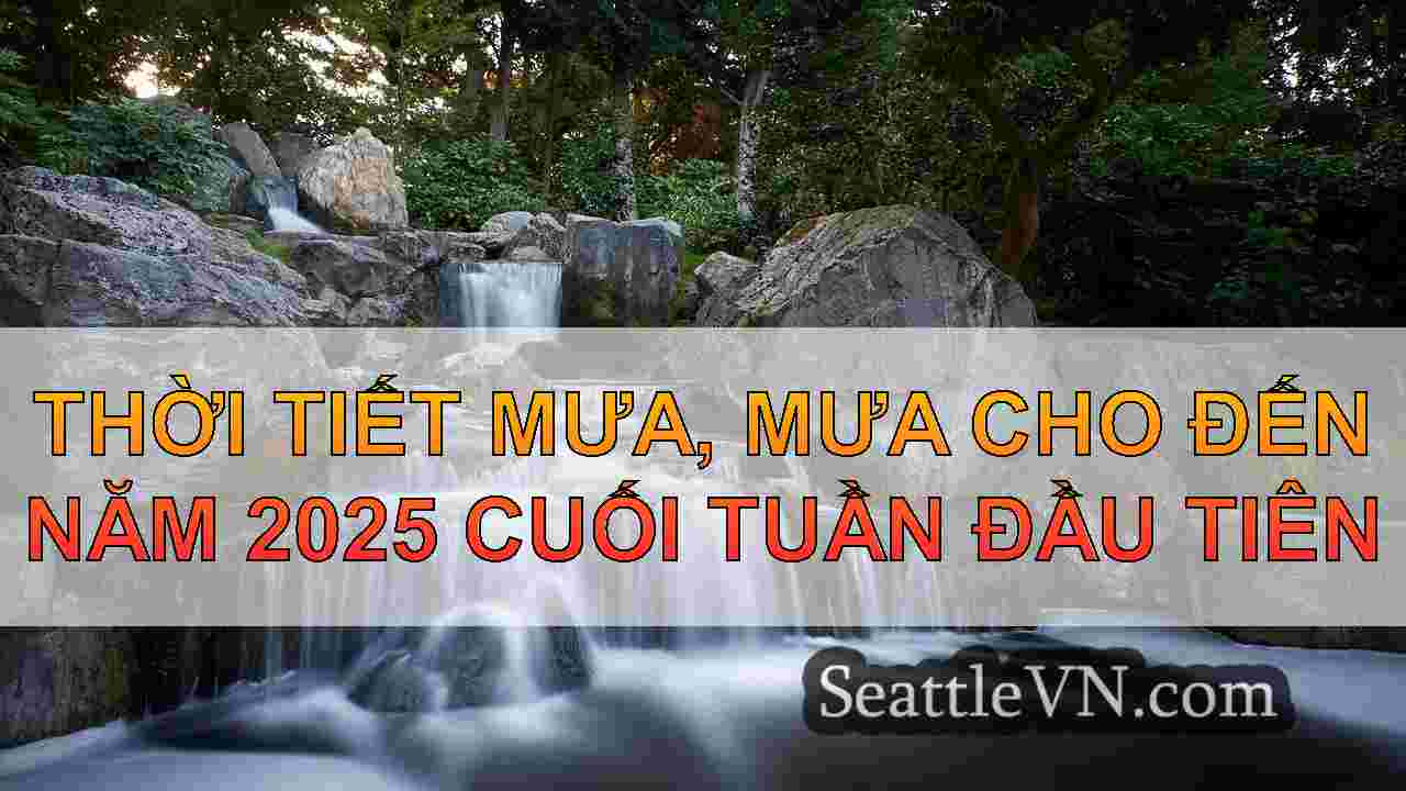 tin tức seattle SeattleVN