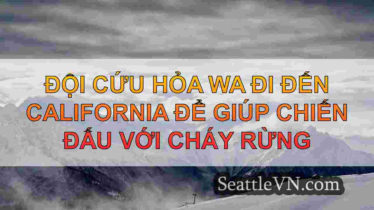 tin tức seattle SeattleVN