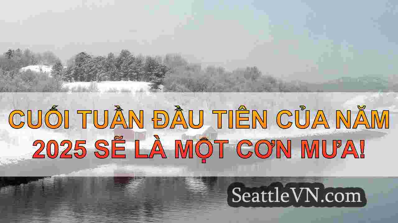 Seattle Weather: Breezy và Wet End cho