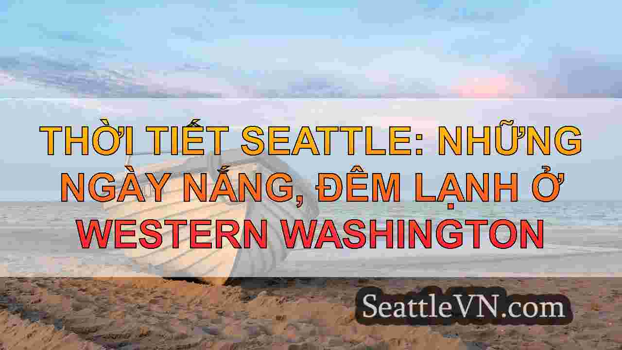 Thời tiết Seattle: Những ngày nắng, Đêm