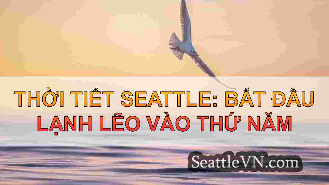 Mưa rộng trở lại khu vực Seattle vào