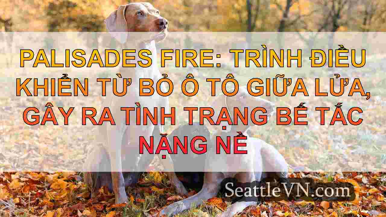 tin tức seattle SeattleVN