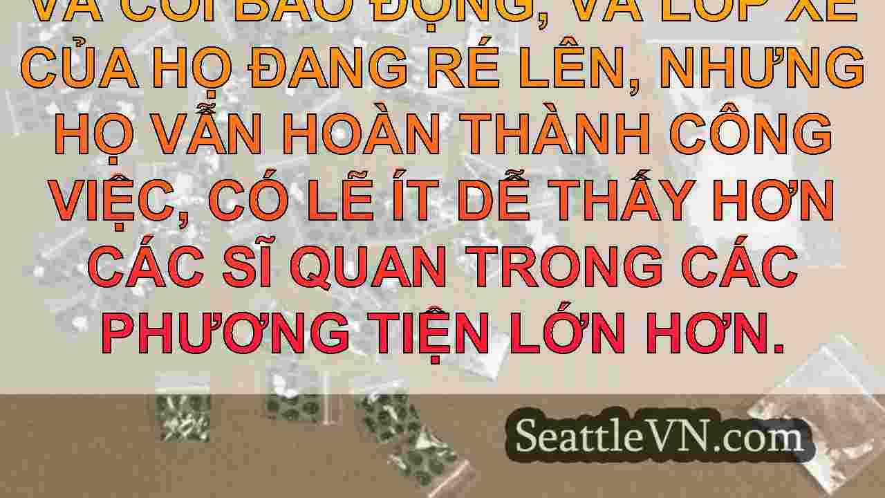 tin tức seattle SeattleVN