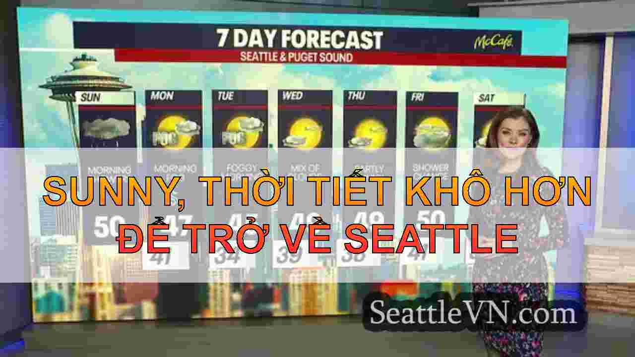 Sunny, thời tiết khô hơn để trở về