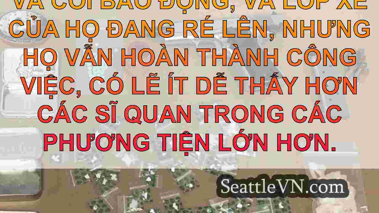 Seattle Bike Squad hoạt động Nets của