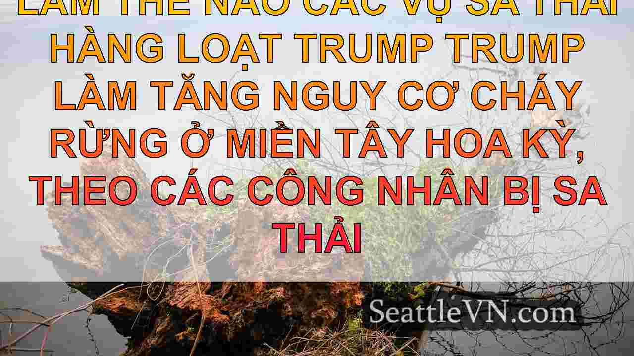 tin tức seattle SeattleVN