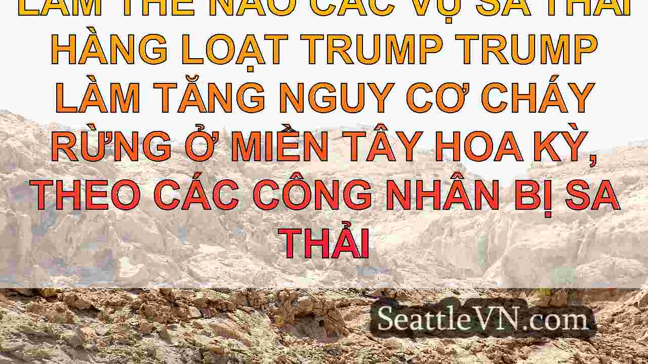 tin tức seattle SeattleVN