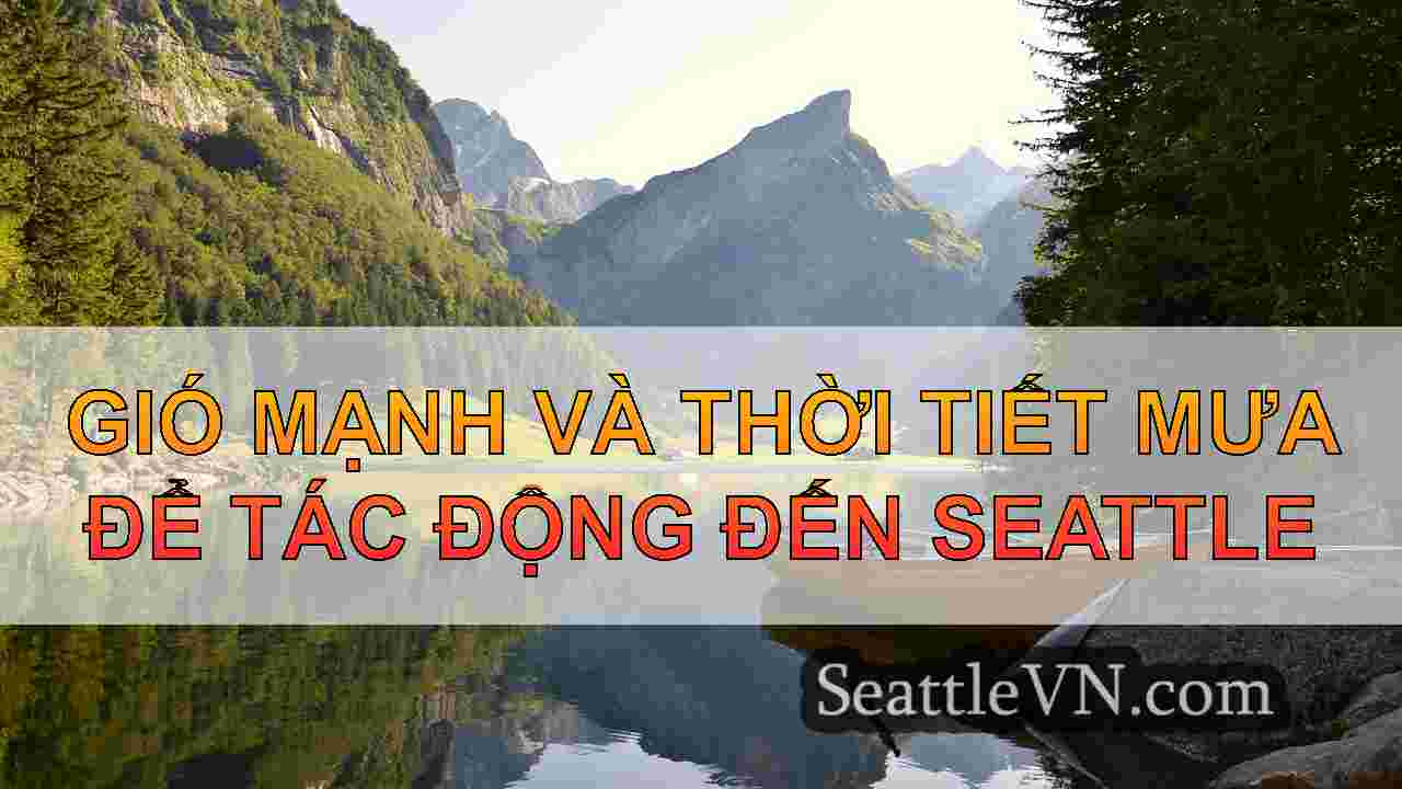 tin tức seattle SeattleVN