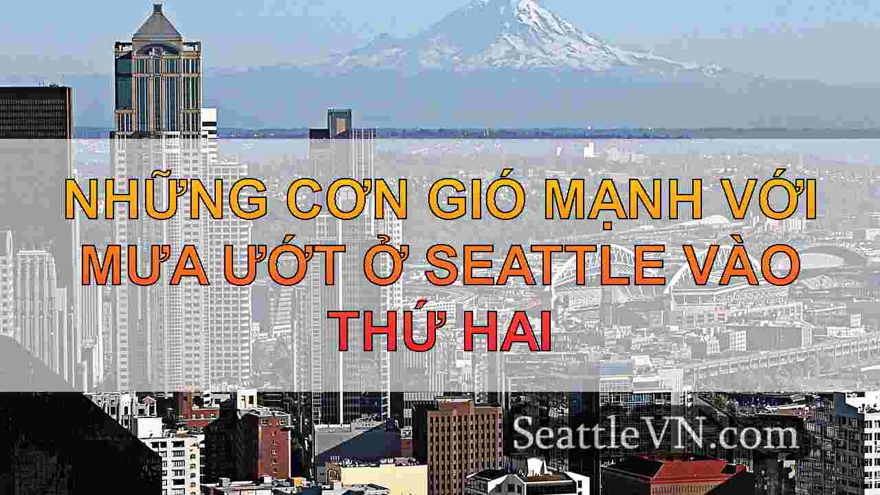 Những cơn gió mạnh với mưa ướt ở