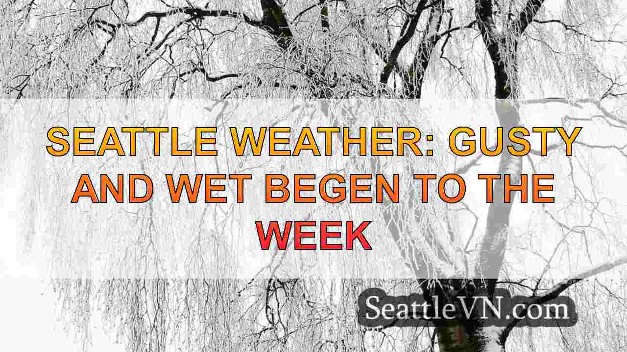tin tức seattle SeattleVN